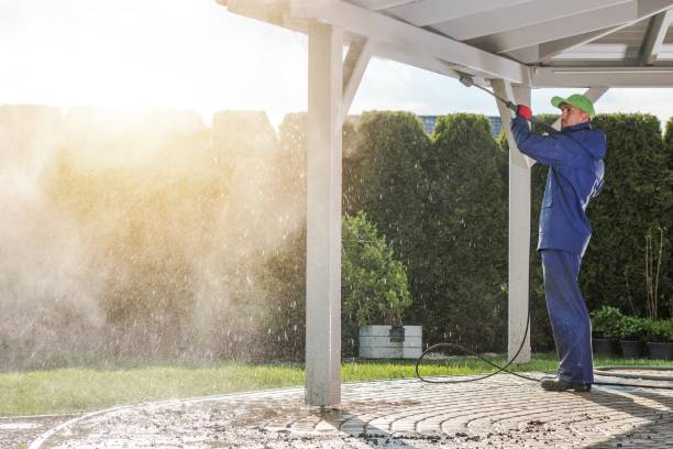 Best Graffiti Removal  in Bellevue, KY